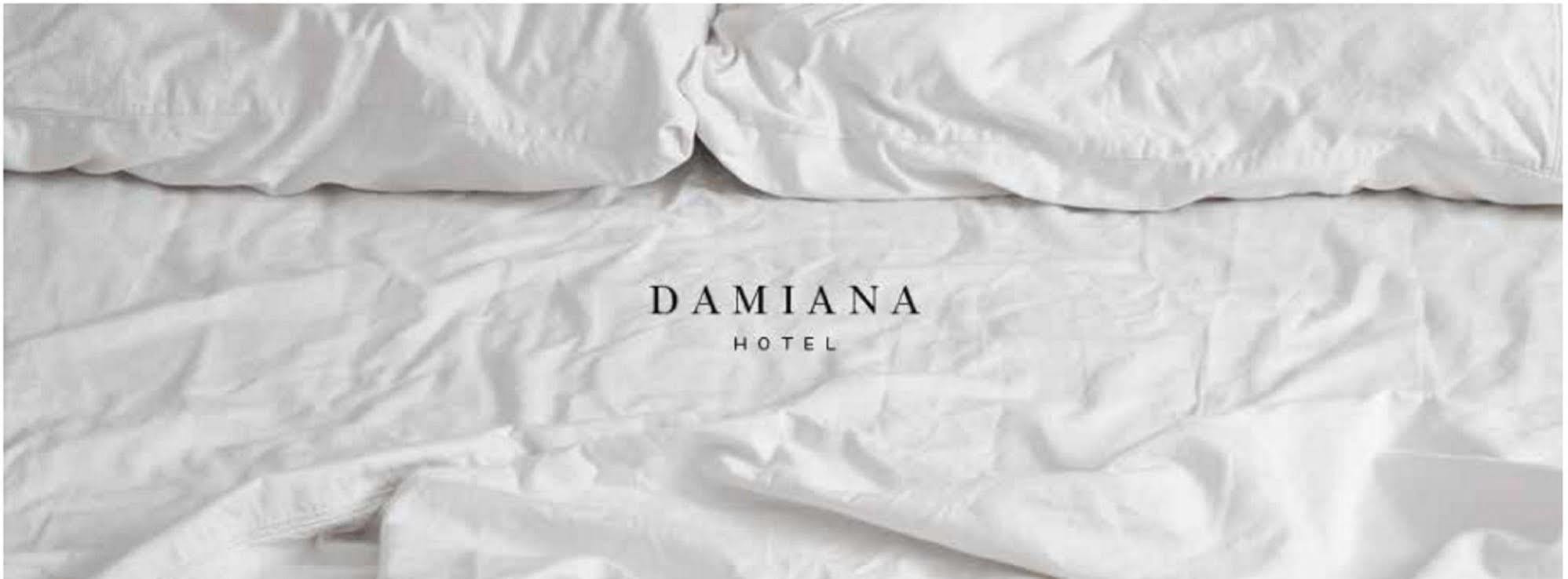 Hotel Damiana Boutique Керетаро Екстер'єр фото